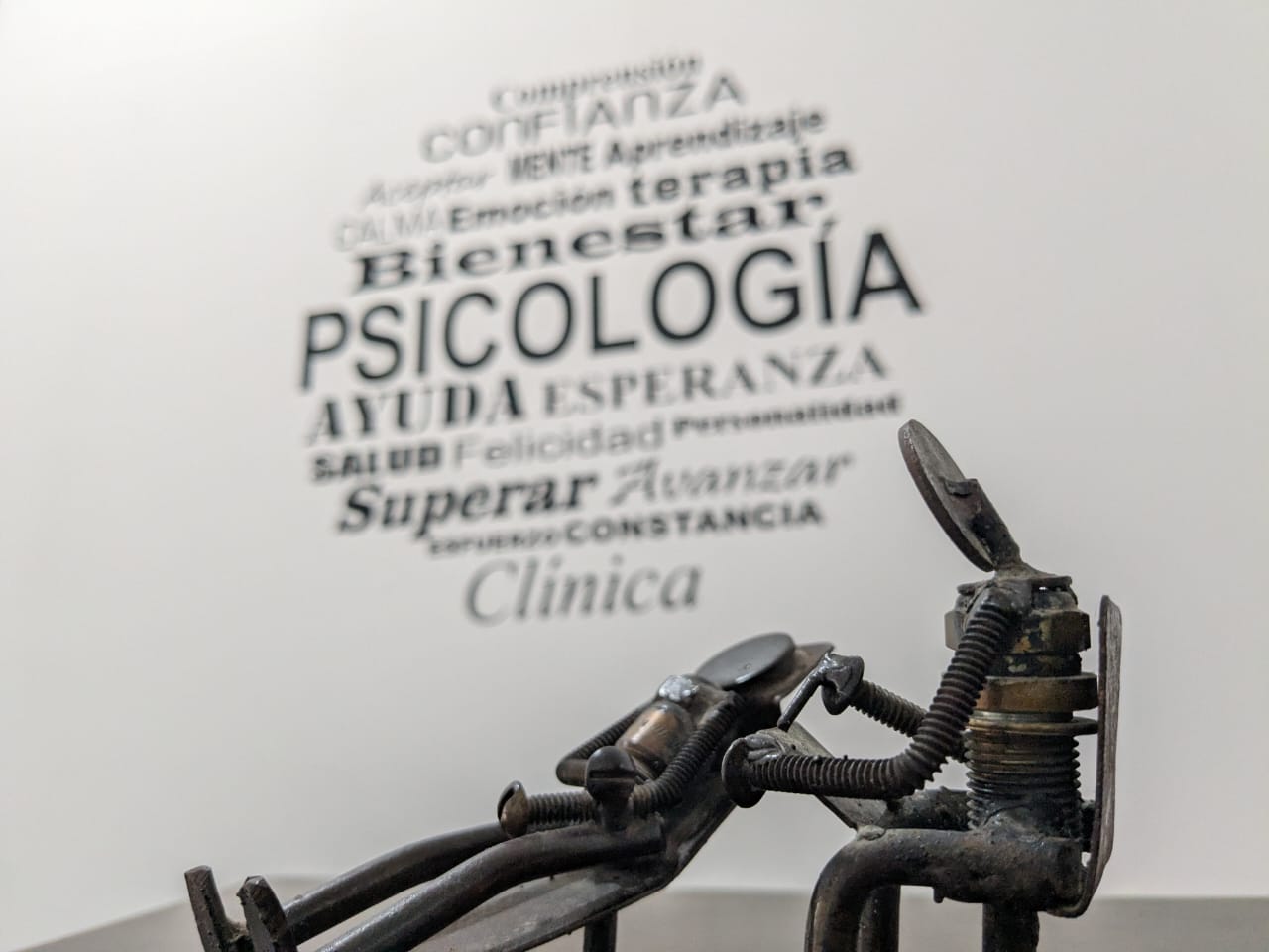 Psicología Clínica y Salud Mental psic saydiel g